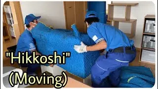 How does  a Japanese company like 