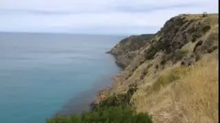 Seal Colony Walk (Cape Bridgewater)
