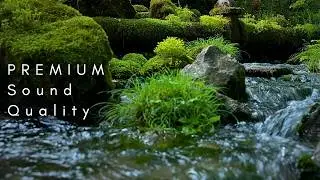 Natural Water Sounds for Sleep, Focus & Calm - No birds or Music