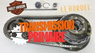 Les al&eacute;as de la transmission primaire ( twin cam 96) 