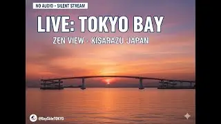 LIVE: Tokyo Bay Zen View - Kisarazu Port, Japan (No Audio) （ライブ：東京湾の景色 - 日本・木更津港 ※無音）