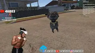 IShowSpeed meets Black Talking Ben in VR😂