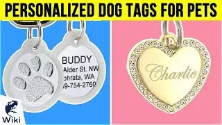 10 Best Personalized Dog Tags For Pets 2019