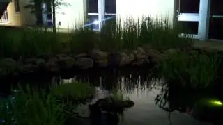 Croaking Chorus from The Frogs of Aristophanes