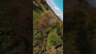 Just a beautiful day 👌#cinematicfpv #fpvcinema #cinematicdrone #droneshots #fpvcinematics