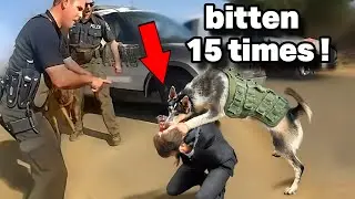 Craziest K9 Takedowns: Criminals Caught by Police Dogs