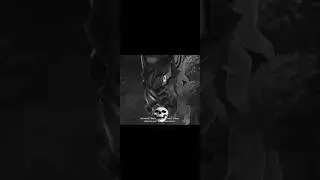 SONIC FORCES - INFINITE - EDIT #phonk #shorts #edit #editing #game #jogo #gameedit #capcut #sonic