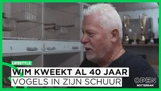 Wim kweekt al 43 jaar vogels in schuur: ‘Concurrentie bij vereniging maakt het spannend’ | LIFESTYLE