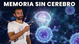 Vacunas: cómo entrenan tu memoria inmunitaria (explicado fácil)