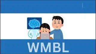 WMBL DEMO