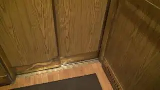 raw files High rise historic OTIS black button elevator