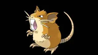 020 Raticate Cry