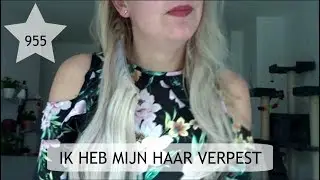 IK HEB MIJN HAAR VERPEST | Sophie Hol | Vlog 955