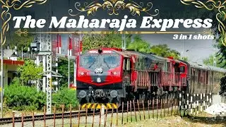Maharaja Express × WDP4B Pair — Captured 3 Times!