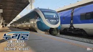 누리로 포항역 발차