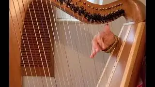 An Buachail&iacute;n B&aacute;n (Jig) - Harp Lessons with Reidun