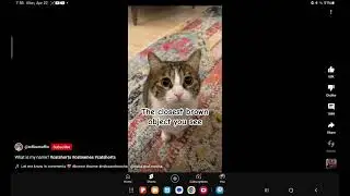 the closest brown object is this cat's name