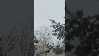 здесь все что-то есть необычного кто любит ёлки 🌲(🎄) /ели  деревья (🌳) Укутаны  снегом 🌨(🌜) 