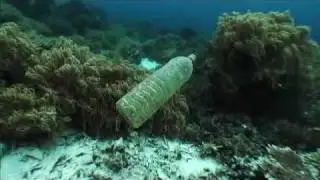 Tapped PSA - Plastic Soup