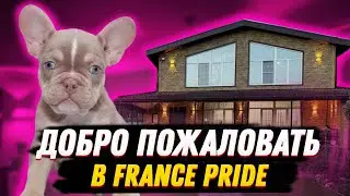 ДОБРО ПОЖАЛОВАТЬ В FRANCE PRIDE | bulldozhka.ru
