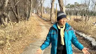 관촌 사선대의 명암에 관하여