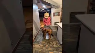Boot Scootin&rsquo; Boogie with Poppy 🐾 #dog #funnydogs #countrymusic #bootscootin