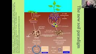 New soil health paradigm
