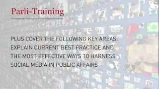 E-Campaigning Social Media in Public Affairs