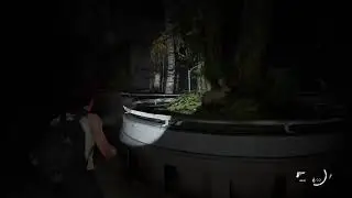 The Last of Us Part 2 part 5