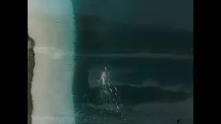 Adam Swim - Come Alive