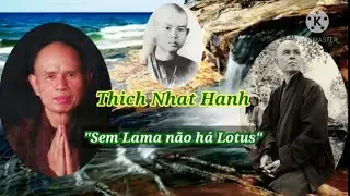 5 Pr&aacute;ticas para Nutrir a Felicidade - por Thich Nhat Hanh / 2&deg; parte (3 Pr&aacute;ticas)