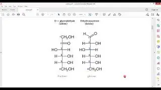 Carbohydrates [Monosaccharides: Ring Structures and &alpha;/&beta; Anomeric Configuration]
