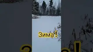 Pond in Winter! #pond #ice #winter #snow #frost #review #video #news #youtube #sigorem #shorts