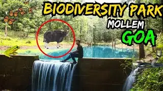 Biodiversity park,Mollem  goa | Hidden Place of Goa| Unexplored place of goa |goa other than beaches