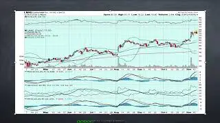 Afternoon Update: $NFLX bags, $LMND bags