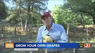 How to grow grapes and apples in the desert