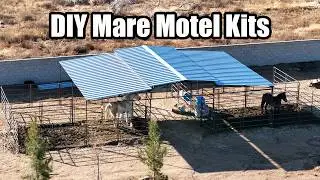Mare Motels for Sale &ndash; Durable & Affordable 4-Stall Horse Barn Kits!