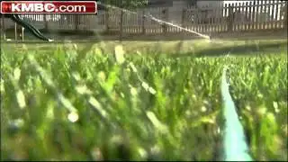 Consistent Care Helps Save Lawn In Heat