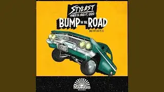 Bump in the Road
