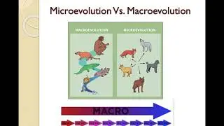 The Forces of Evolutionary Change