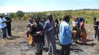 In the Democratic Republic of the Congo, peace committees reduce intercommunal conflicts