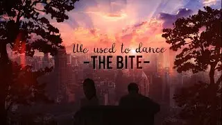 THE BITE - We Used To Dance ( lyric video)