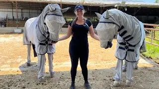 🚨SAVE YOUR HORSES LIFE🚨Summer Barn Hacks & Emergency Care Tips! #equestrian #horsecare #summer