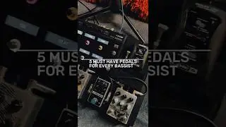 5 Must-Have Pedals Tor Every BASSIST