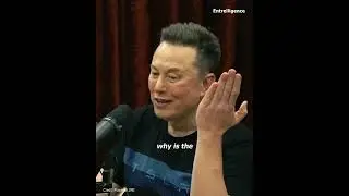🚨Elon Musk Says an OpenAI Whistleblower Was Murdered  During a recent appearance on the Joe Rogan P
