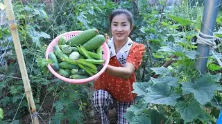 All vegetable are fresh from my vegetable garden / Steamed ground pork with fish paste recipe