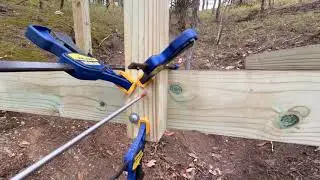 Building A Forest Bridge