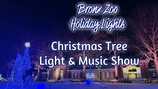 Bronx Zoo Holiday Tree Light Show