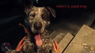 Can you pet dogs in Far Cry 6 | Part 1 | Petting Boom Boom (Dog from Far Cry 5)