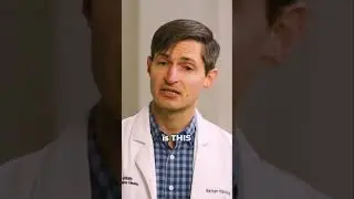 Brain Fog and Gut Health: They're Connected